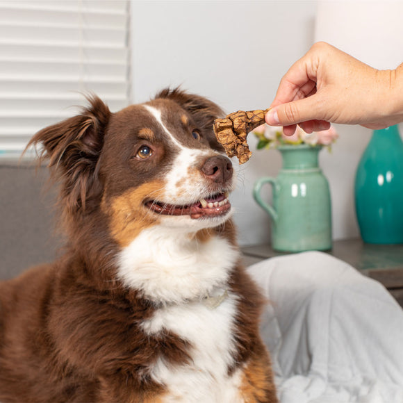 Natural Cravings USA Beef Roasters Dog Chew