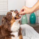 Natural Cravings USA Beef Roasters Dog Chew