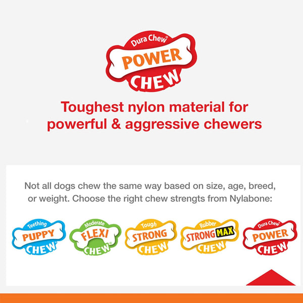 Nylabone Power Chew Durable Dog Toy Chicken