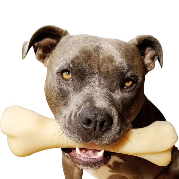 Nylabone Power Chew Monster Bone Big Dog Chew Toy Chicken