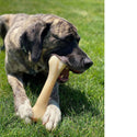 Nylabone Power Chew Monster Bone Big Dog Chew Toy Chicken