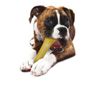 Nylabone Moderate Flexi Chew Chicken Flavor Dog Toy