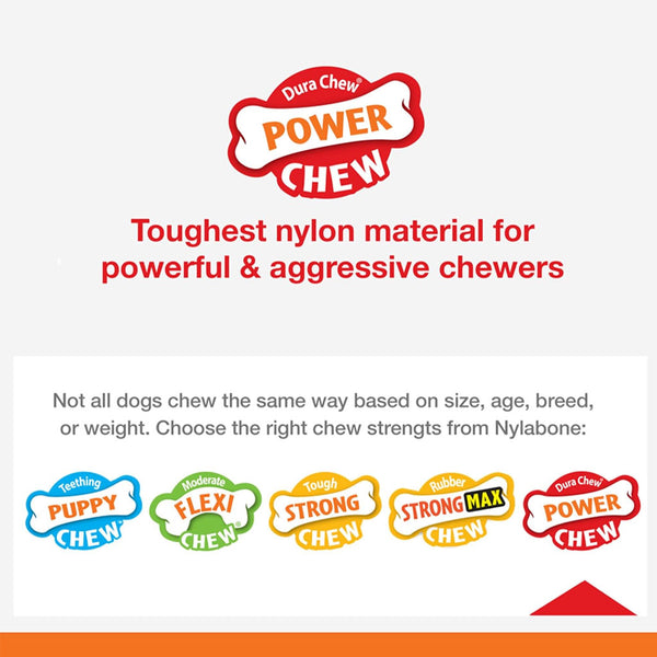 Nylabone Dura Chew Power Chew Textured Flavor Medley Dog Bone