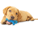 Nylabone Puppy Dental Dinosaur Chew Toy for Teething Puppies Chicken Flavor