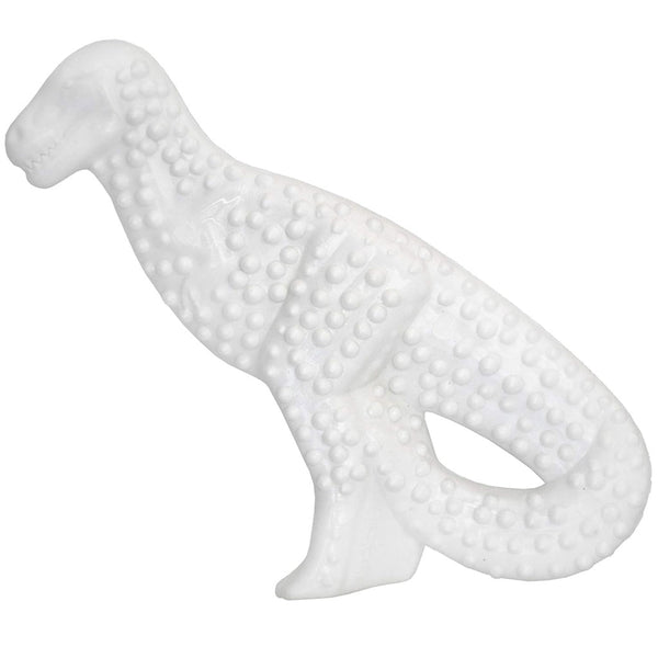 Nylabone Power Chew Dental Dinosaur Chicken Flavor Dog Toy