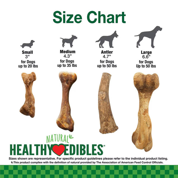 Nylabone Healthy Edibles Broth Bone Ham Flavor Dog Treats