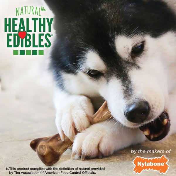 Nylabone Healthy Edibles Broth Bone Ham Flavor Dog Treats