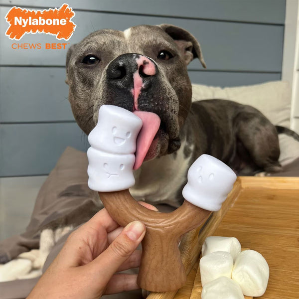 Nylabone Strong Toasted Marshmallow Stick & Peanut Butter Flavor Tough Dog Chew Toy,