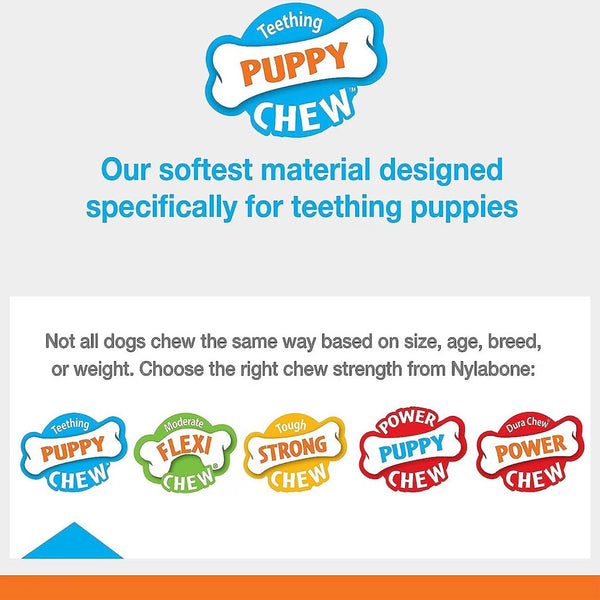 Nylabone Just for Puppies Teething Chew Ring Flavor Medley Dog Bone