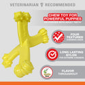 Nylabon Puppy Power Chew Axis Bone Nylon Chew Toy Vanilla Flavor