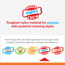 Nylabon Puppy Power Chew Axis Bone Nylon Chew Toy Vanilla Flavor