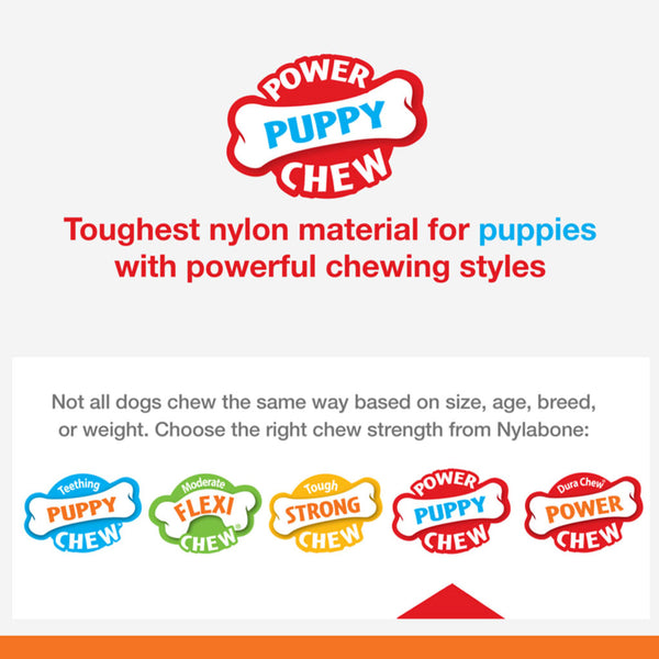 Nylabon Puppy Power Chew Axis Bone Nylon Chew Toy Vanilla Flavor