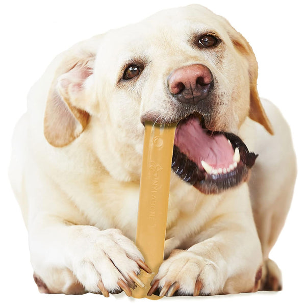 Nylabone Power Chew Peanut Butter Flavored Dog Chew Toy