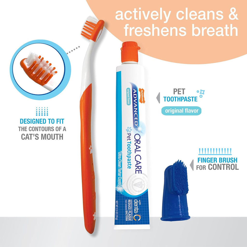 Nylabone Dental Kit: Original Flavor for Cats Nylabone Dental Kit: Original Flavor for Cats