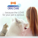 Nylabone Advanced Oral Care Original Flavor Cat Dental Kit