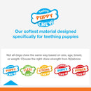 Nylabone Puppy Chew Freezer Teething Chill & Chew Dog Toy, Lamb & Apple Flavor