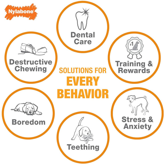 Nylabone Puppy Chew Freezer Teething Chill & Chew Dog Toy, Lamb & Apple Flavor