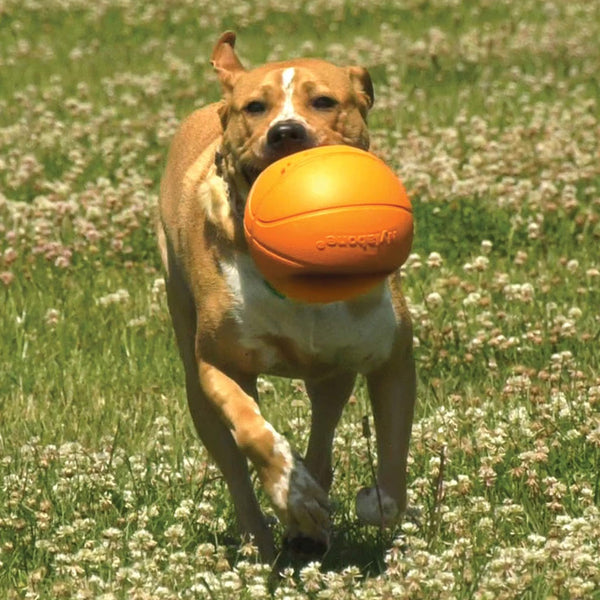 Nylabone Power Play Basketball B-Ball Gripz Dog Toy