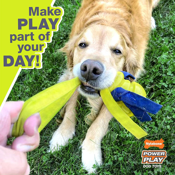 Nylabone Power Play Dog Baseball Gripz