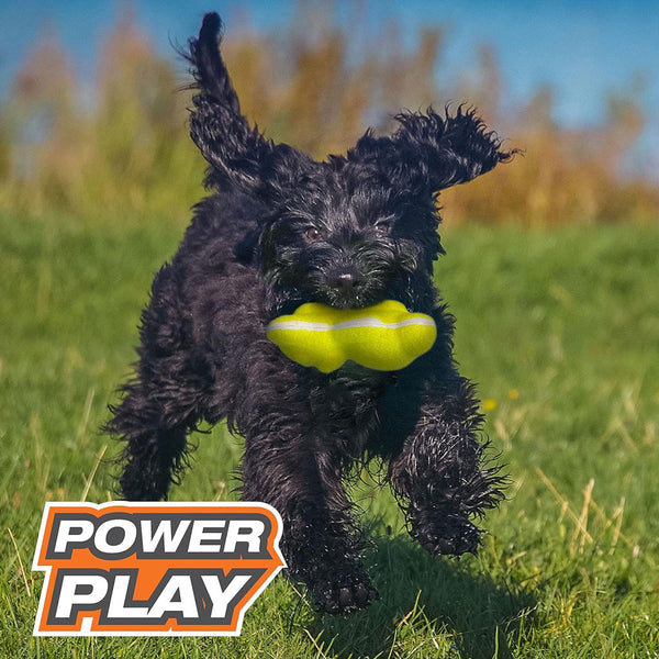 Nylabone Power Play Tennis Teddy Gripz Bear Dog Toy