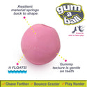 Nylabone Power Play Gum-A-Ball Toy for Dog