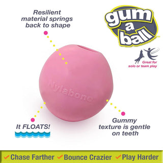 Nylabone Power Play Gum-A-Ball Toy for Dog