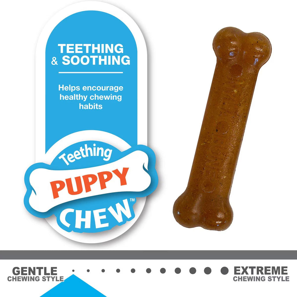 Nylabone Classic Puppy Chew Flavored Durable Dog Chew Toy