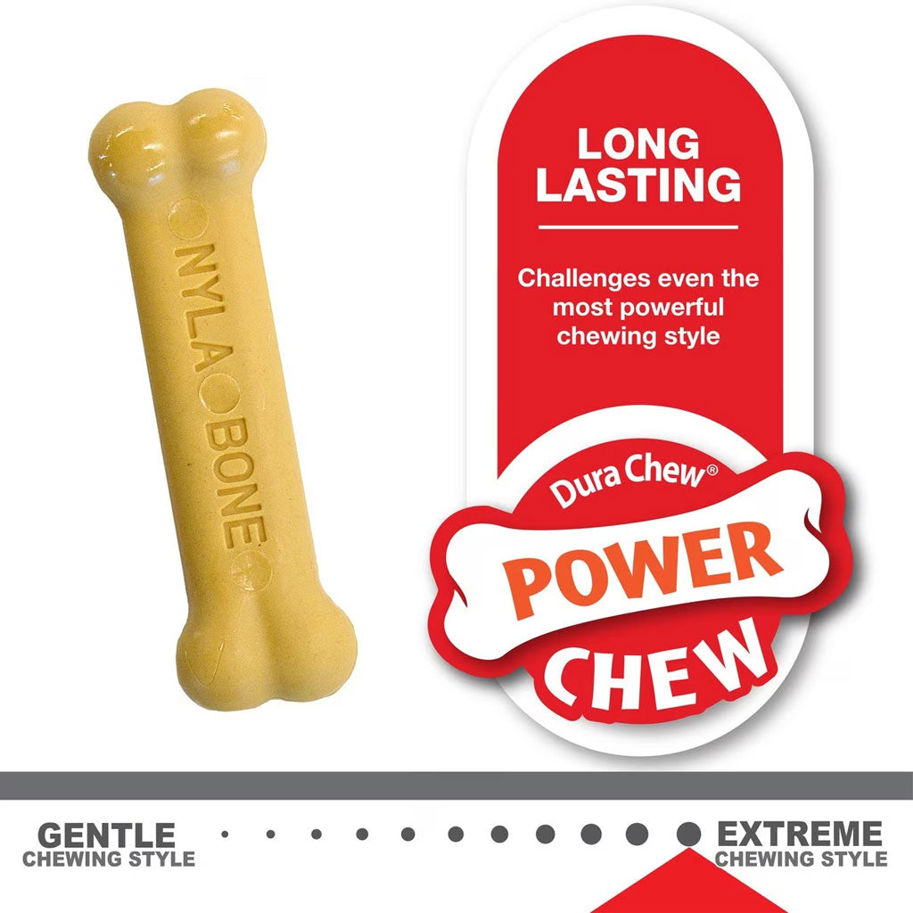 Nylabone Classic Puppy Chew Flavored Durable Dog Chew Toy