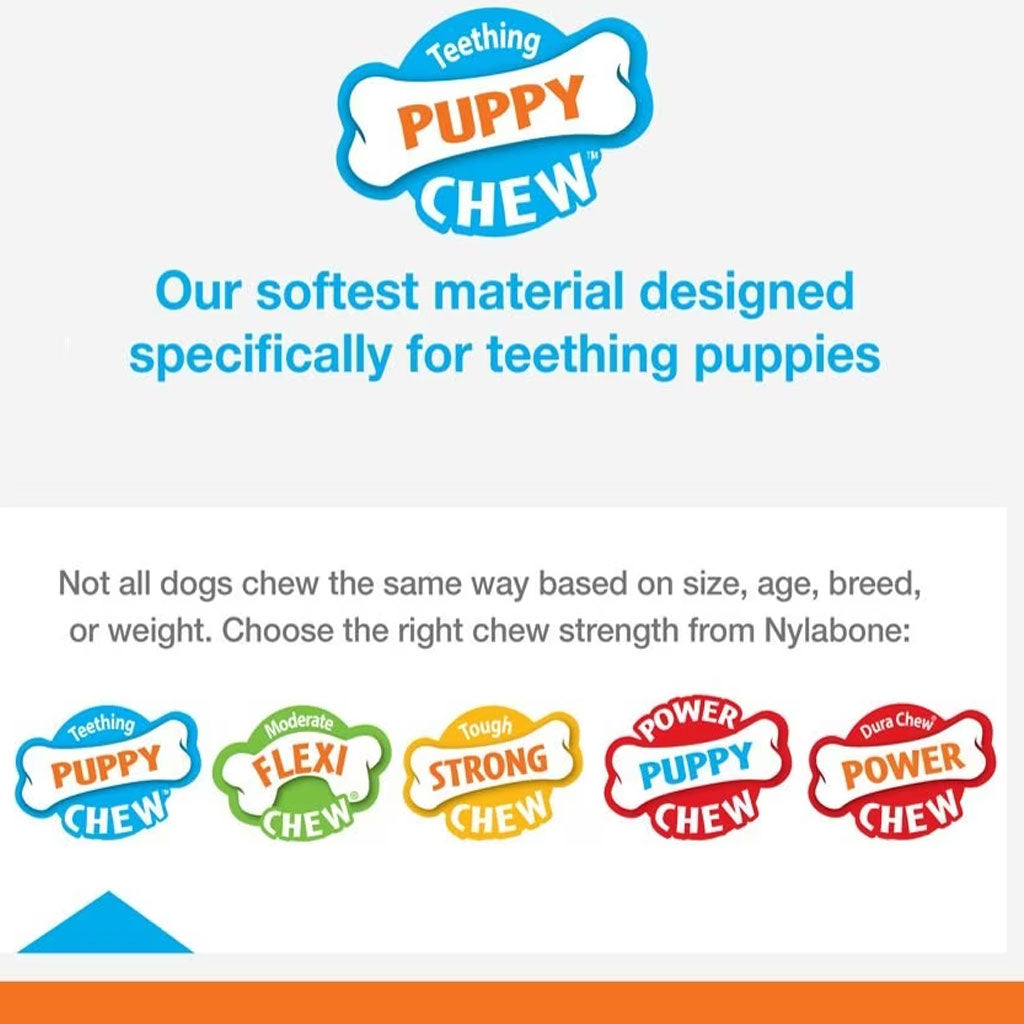 Nylabone Classic Puppy Chew Flavored Durable Dog Chew Toy