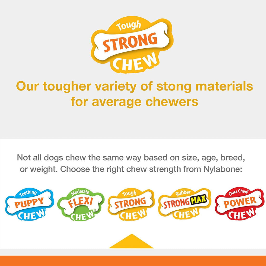 Nylabone Strong Rubber Allergen-Free Peanut Butter Flavor Tough Dog Treat Toy