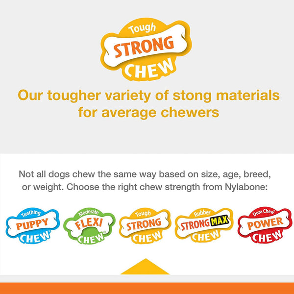 Nylabone Strong Rubber Allergen-Free Peanut Butter Flavor Tough Dog Treat Toy