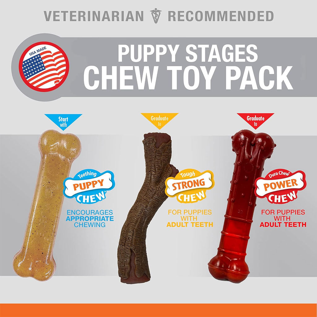 Nylabone Puppy Chew Stages Triple Pack Chewy Toys Puppy Stages Triple Pack