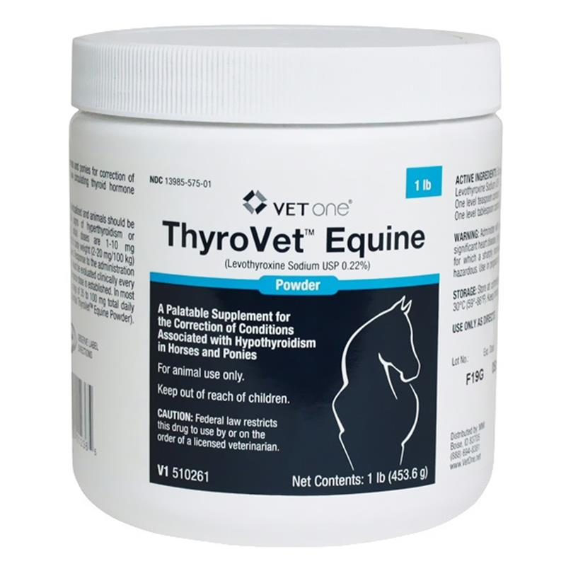 Levothyroxine (generic) Powder for Horses