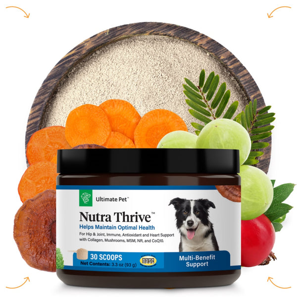 Ultimate Pet Nutrition Nutra Thrive Nutritional Supplements for Dogs, 3.3-oz