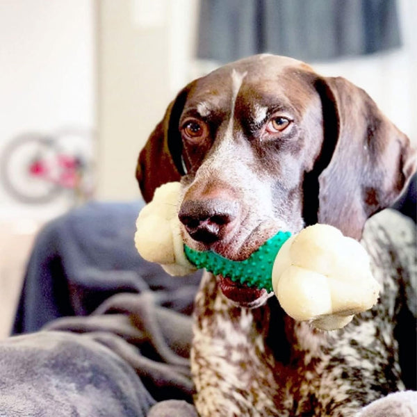 Nylabone Double Action Power Chew Durable Dog Toy Bacon