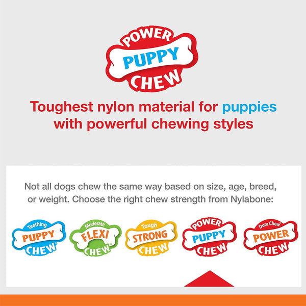 Nylabone Power Chew Chicken Flavored Knuckle Bone & Pop-In Treat Toy Combo Dog Chew Toy