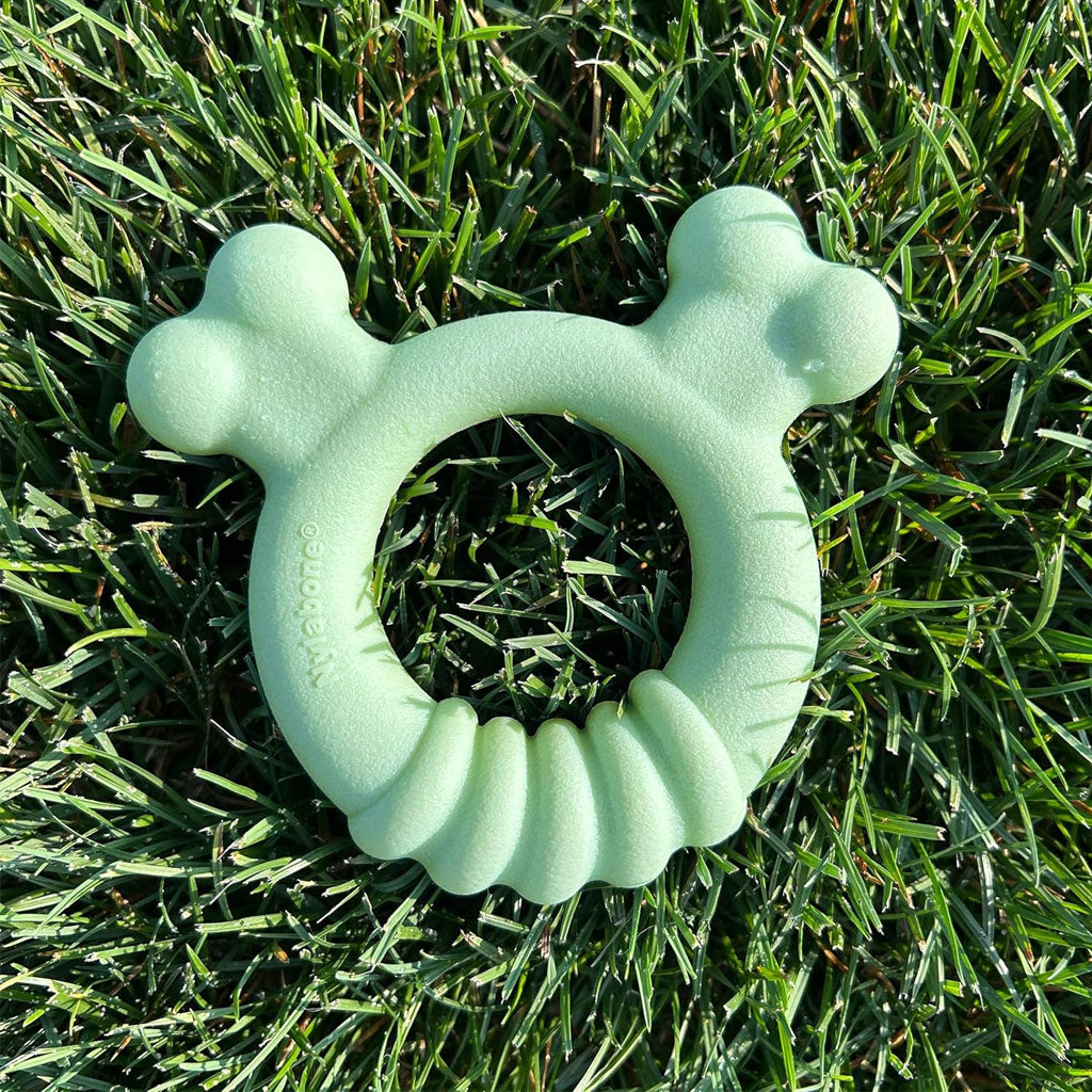 Nylabone Sensory Material Puppy Teething Ring Chicken Flavor