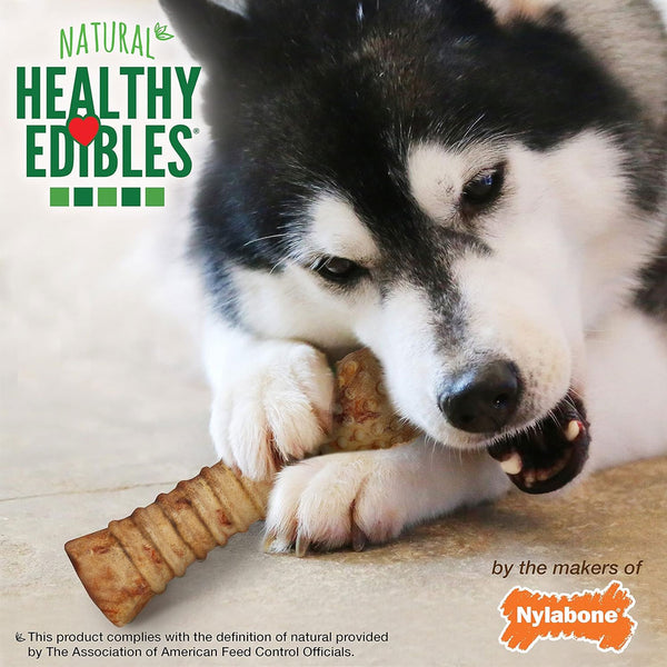 Nylabone Healthy Edibles Natural Dog Chews Long Lasting Turkey & Apple Treats for Dogs