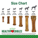 Nylabone Healthy Edibles Natural Dog Chews Long Lasting Turkey & Apple Treats for Dogs