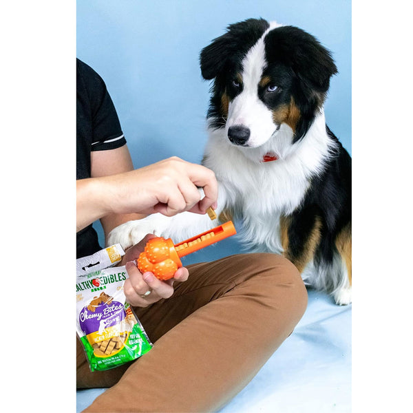 Nylabone Sneaky Snacker Bacon Flavor Dog Treat Toy, Orange