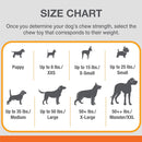 Nylabone Sneaky Snacker Bacon Flavor Dog Treat Toy, Orange