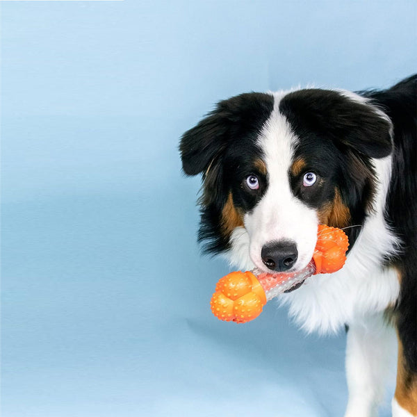 Nylabone Sneaky Snacker Bacon Flavor Dog Treat Toy, Orange