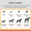 Nylabone Healthy Edibles and Flexi Chew Value Pack, Chicken & Bacon Flavor