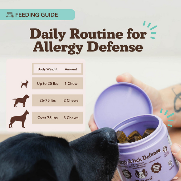 Natural Dog Company Allergy & Itch Defense for Dogs (90 soft chews)