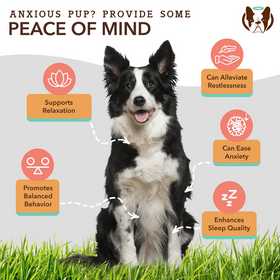 Natural Dog Company Calming Soft Chews for Dogs (90 Chews) - 0