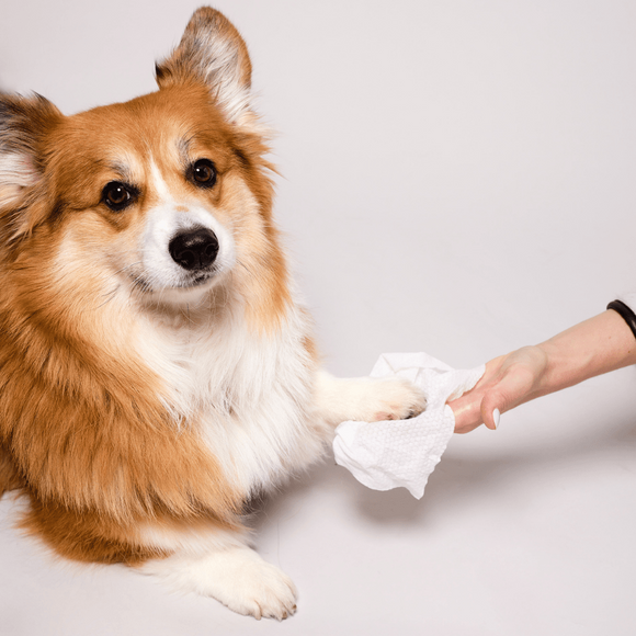 Natural Dog Company Extra Large Grooming Wipes (50 wipes)