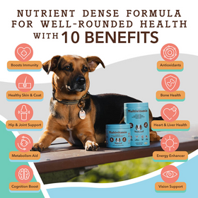 Natural Dog Company Multivitamin All-In-One Soft Chews for Dogs (90 Chews) - 0