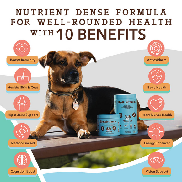 Natural Dog Company Multivitamin All-In-One Soft Chews for Dogs (90 Chews)