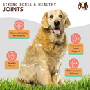 Natural Dog Company Hip & Joint Soft Chews for Dogs (90 Chews)-2