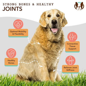 Natural Dog Company Hip & Joint Soft Chews for Dogs (90 Chews) - 0